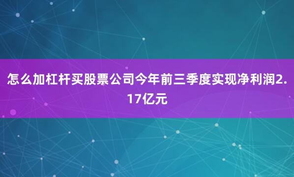 怎么加杠杆买股票公司今年前三季度实现净利润2.17亿元