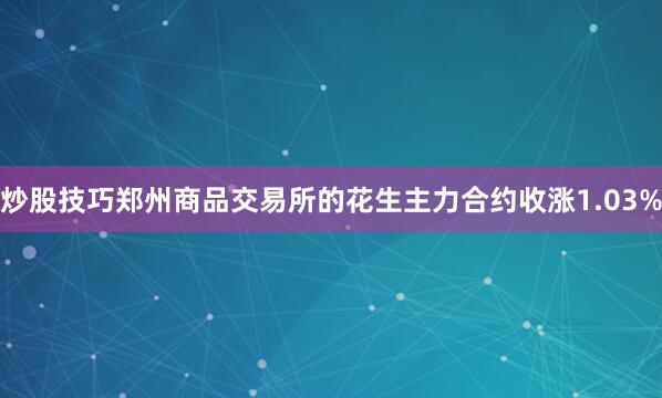 炒股技巧郑州商品交易所的花生主力合约收涨1.03%