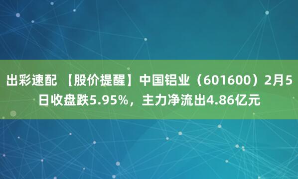 出彩速配 【股价提醒】中国铝业（601600）2月5日收盘跌5.95%，主力净流出4.86亿元