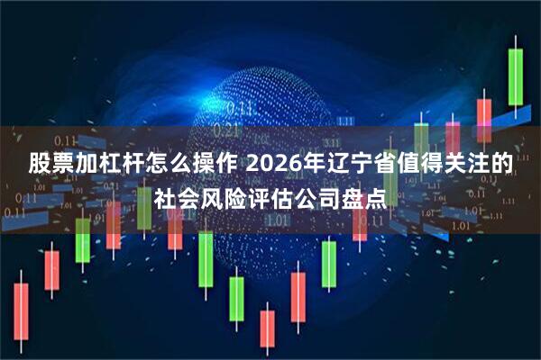 股票加杠杆怎么操作 2026年辽宁省值得关注的社会风险评估公司盘点