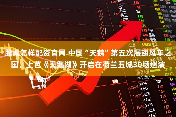 股票怎样配资官网 中国“天鹅”第五次展翅风车之国，上芭《天鹅湖》开启在荷兰五城30场巡演